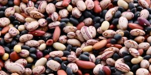 dried beans