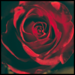 Stores nail you around special days like Valentine's Day, Christmas, and so forth. Here's how to avoid the markup without abandoning your spouse's desire for gifts ...